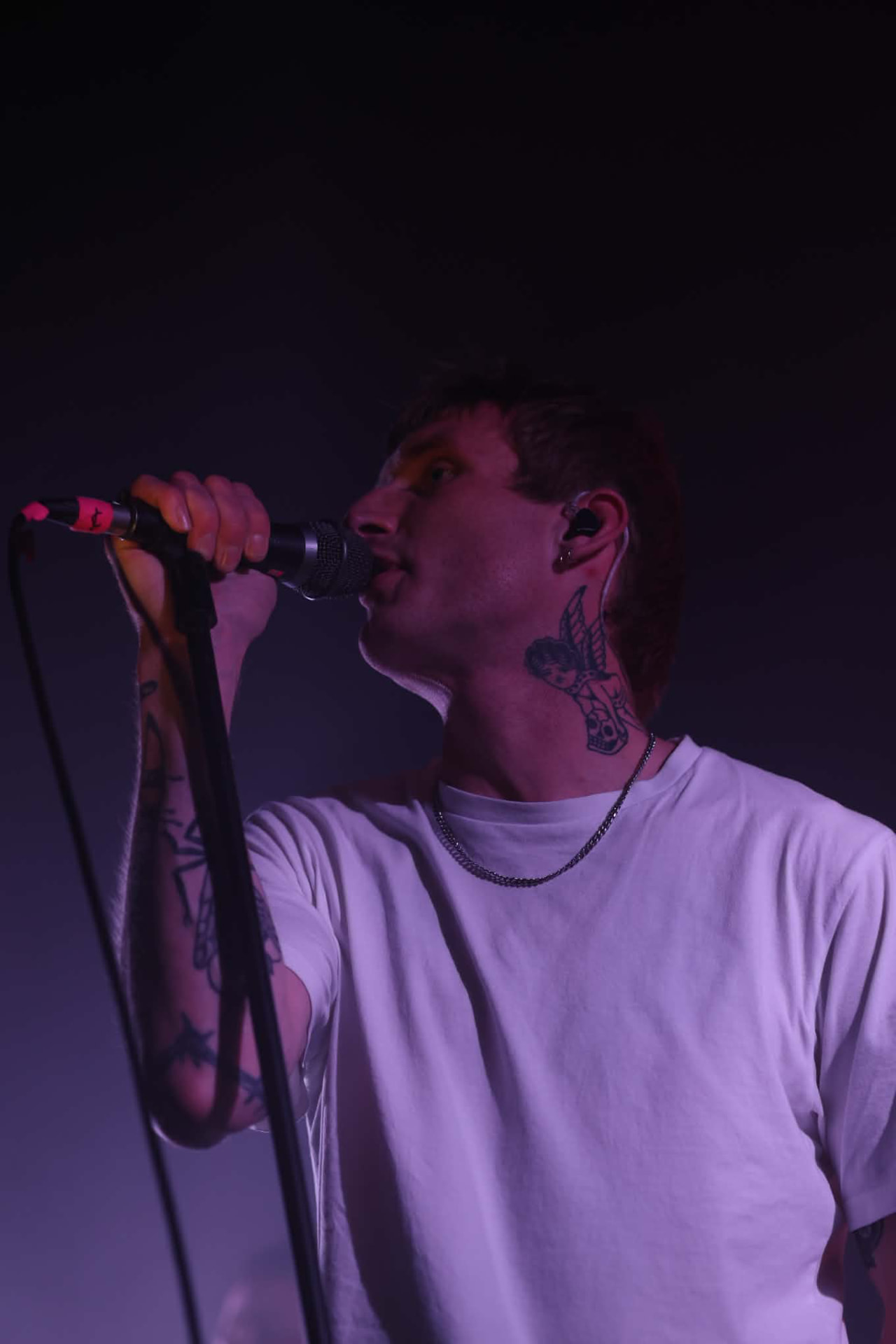 Adult DVD live